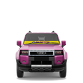 Ute & 4WD See It Strip®